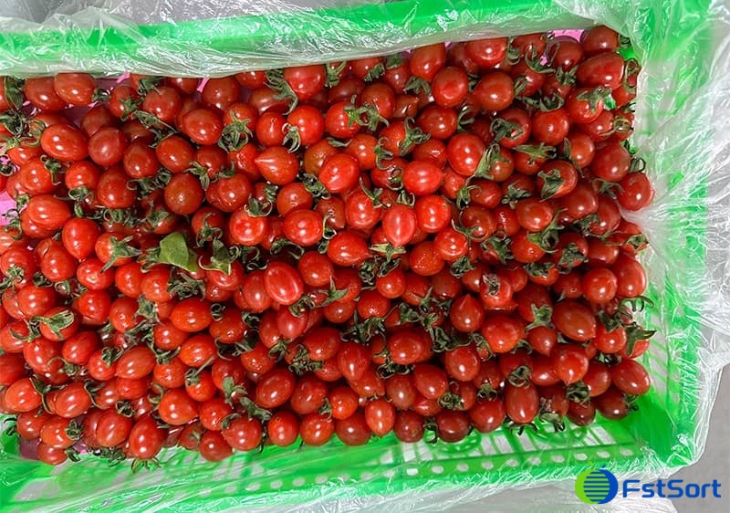 images/1691481530535cherry tomato packing machine.jpg
